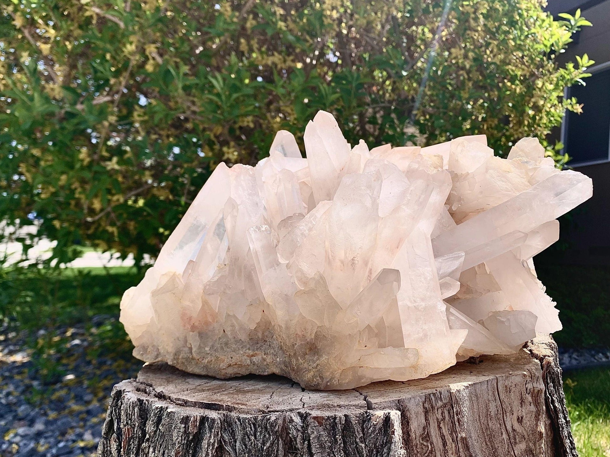 “The Child” Clear Quartz Crystal Cluster