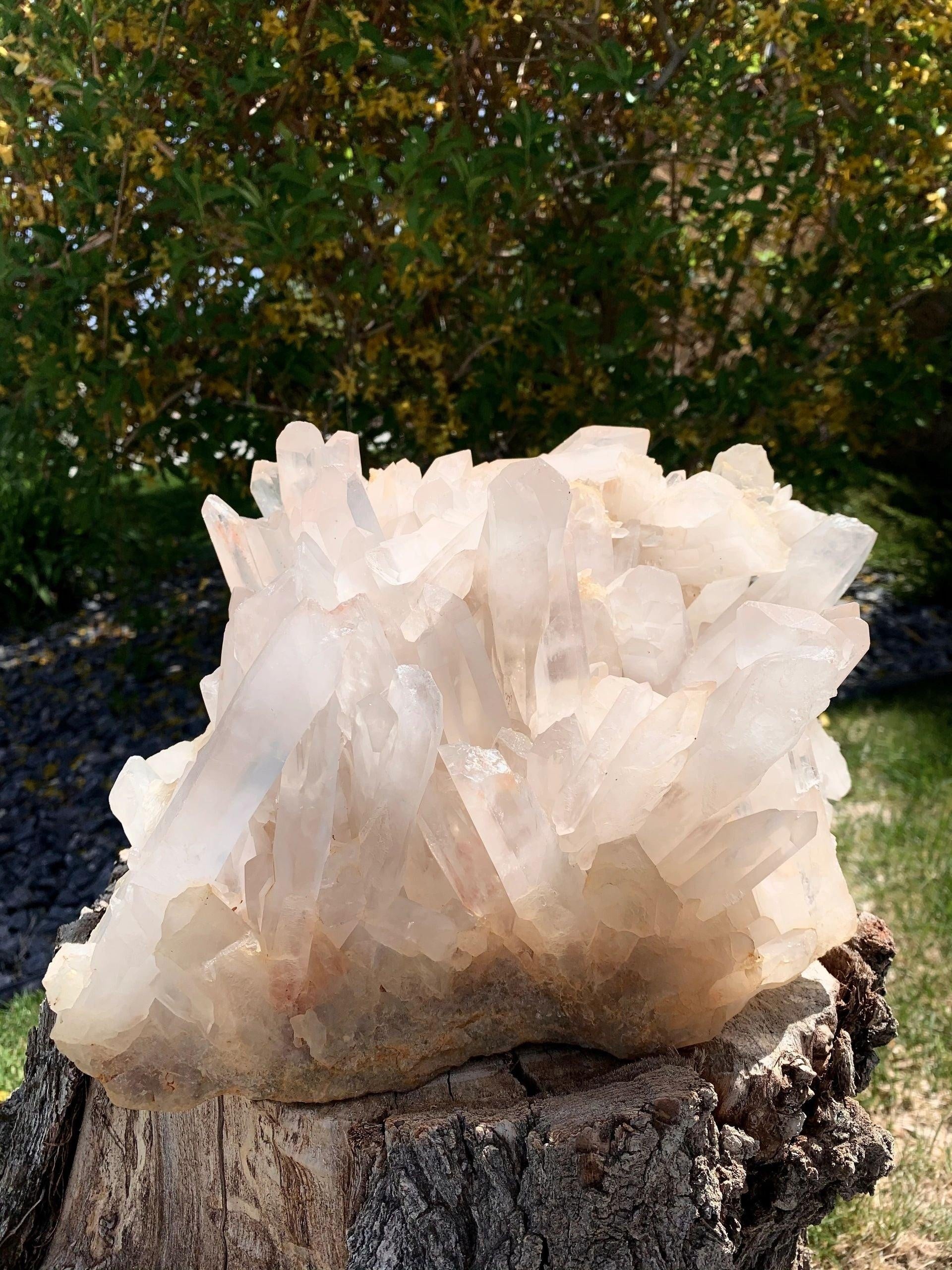 “The Child” Clear Quartz Crystal Cluster