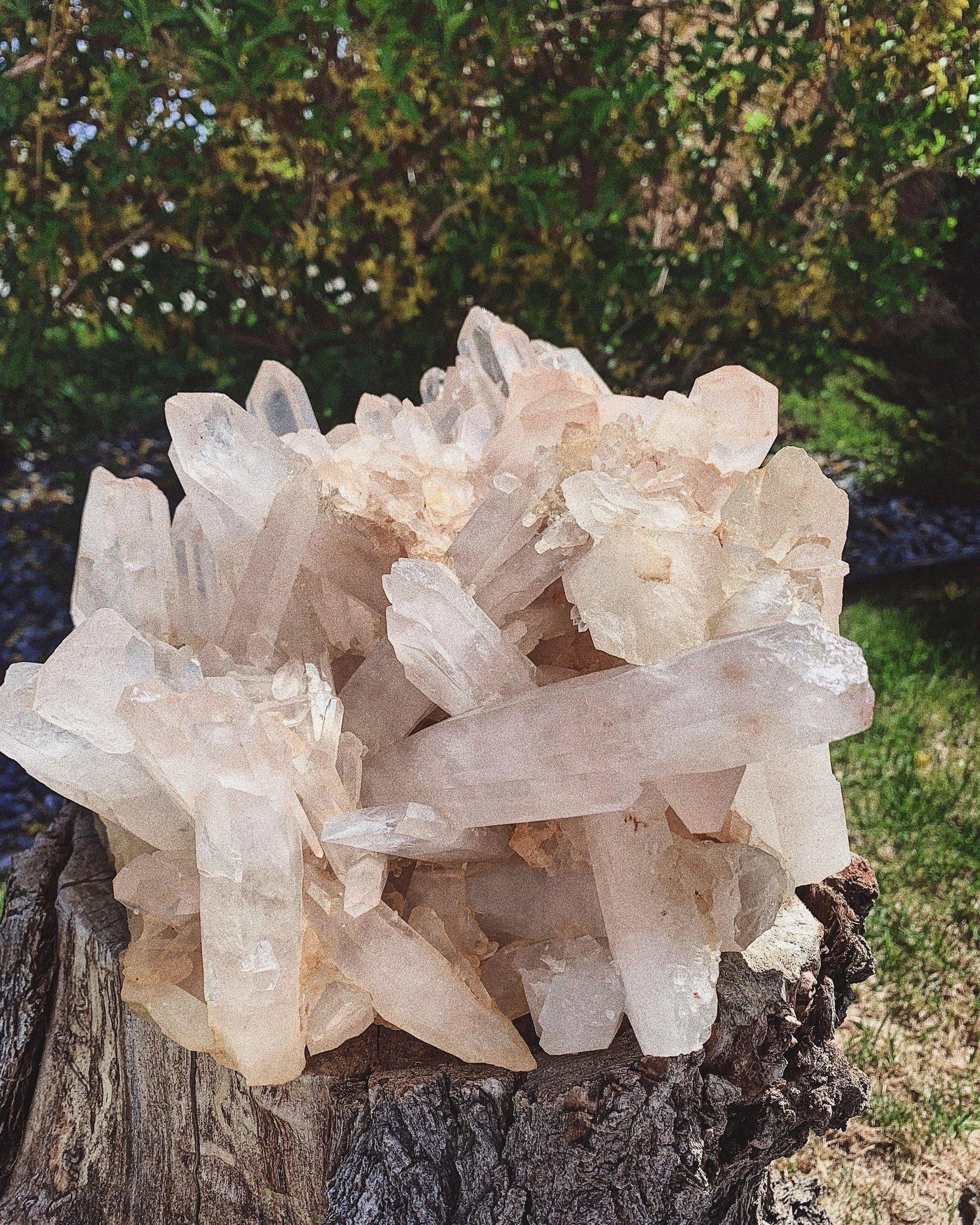 Himalayan Pink Quartz Crystal Cluster Small