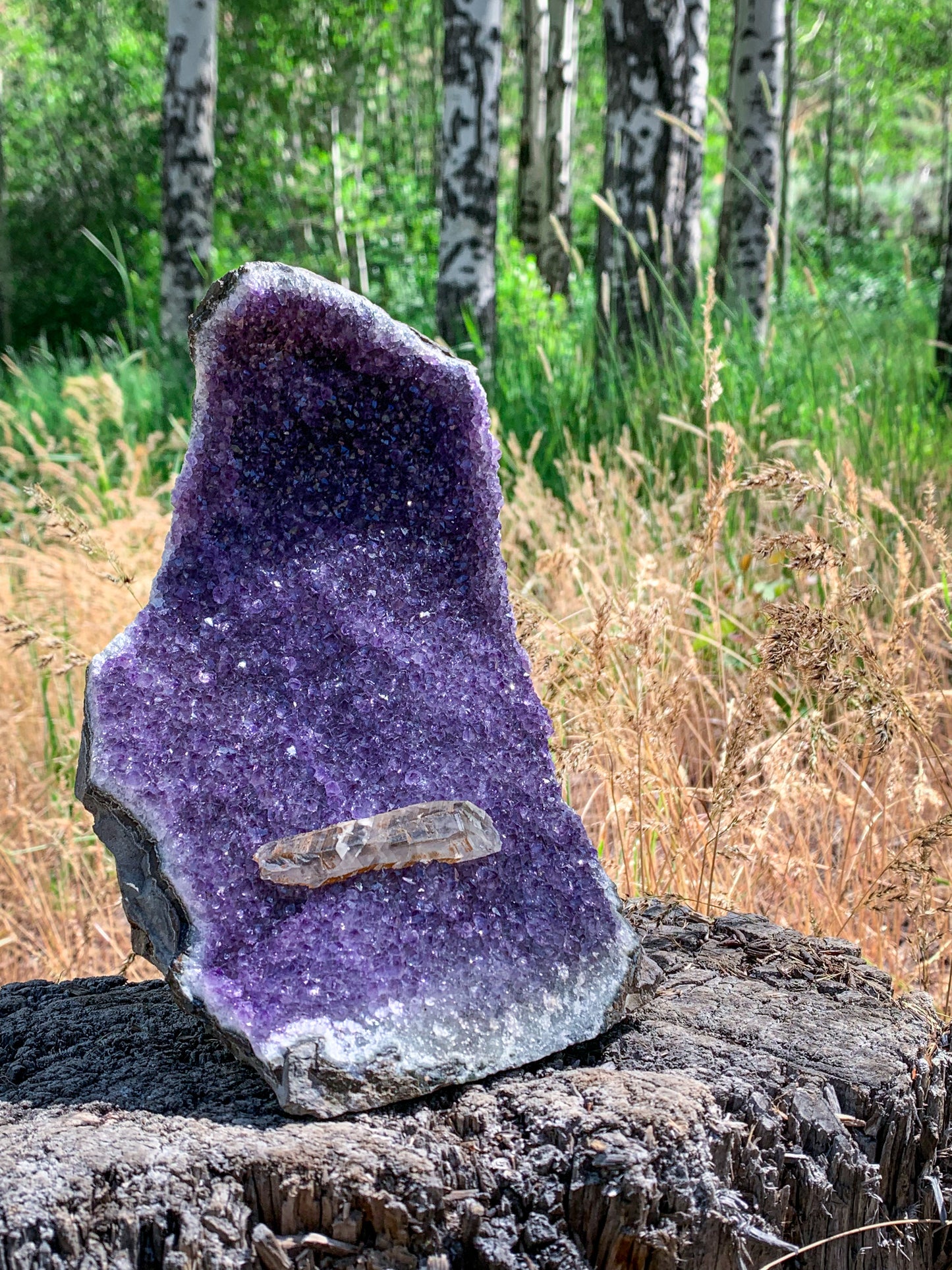 Amethyst with Quartz Geode Cutbase Statement Piece