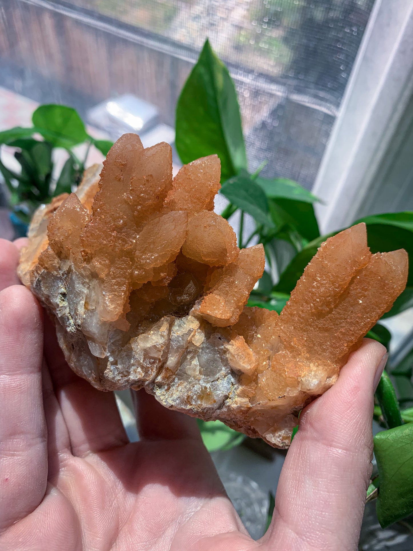 “Cheetos” Orange Spirit Quartz