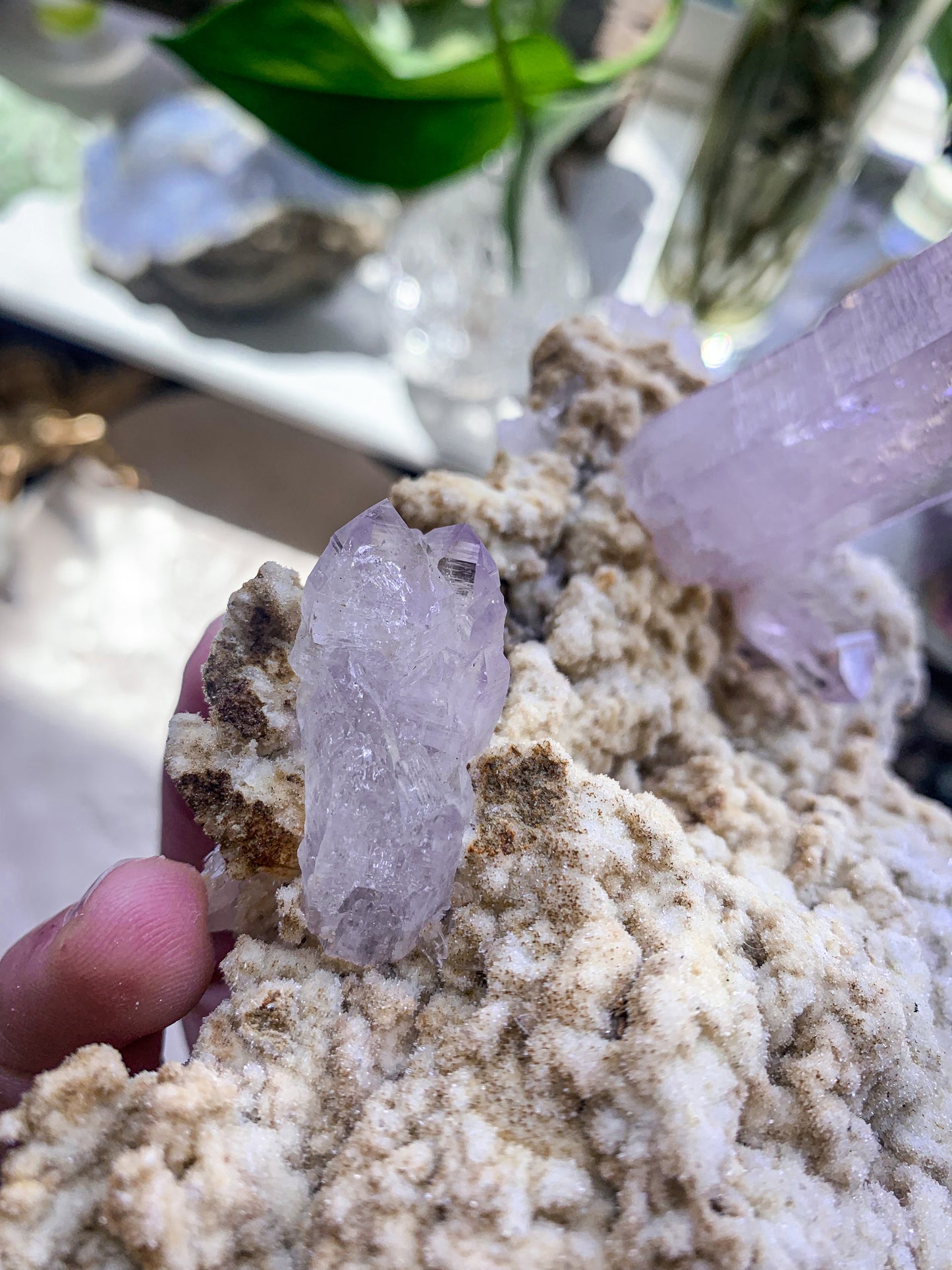 Vera Cruz Amethyst #E