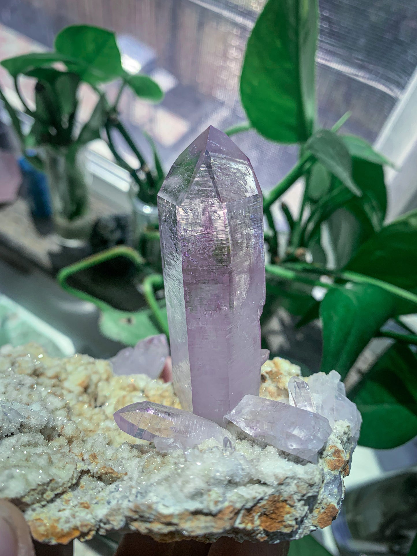 Vera Cruz Amethyst #E